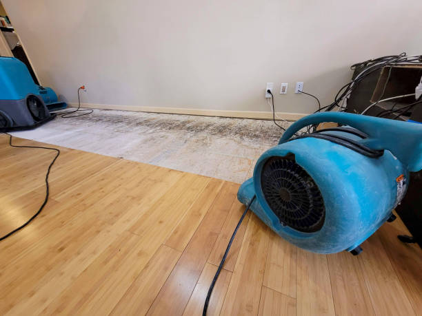 Professional Flood Damage Cleanup technician working in Trenton, GA